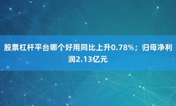 股票杠杆平台哪个好用同比上升0.78%；归母净利润2.13亿元